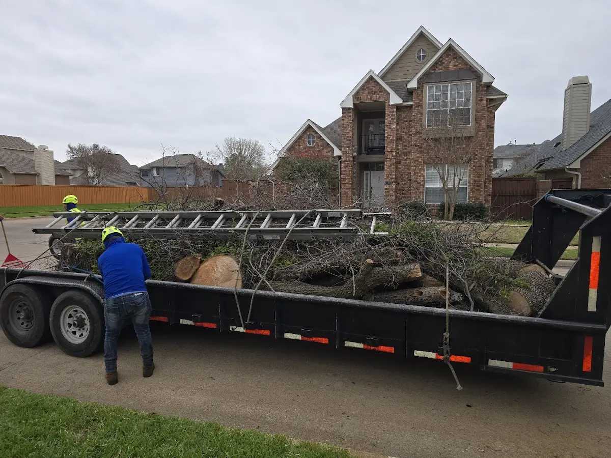 Expert Tree Fertilization with proper safety equipment in Wikieup